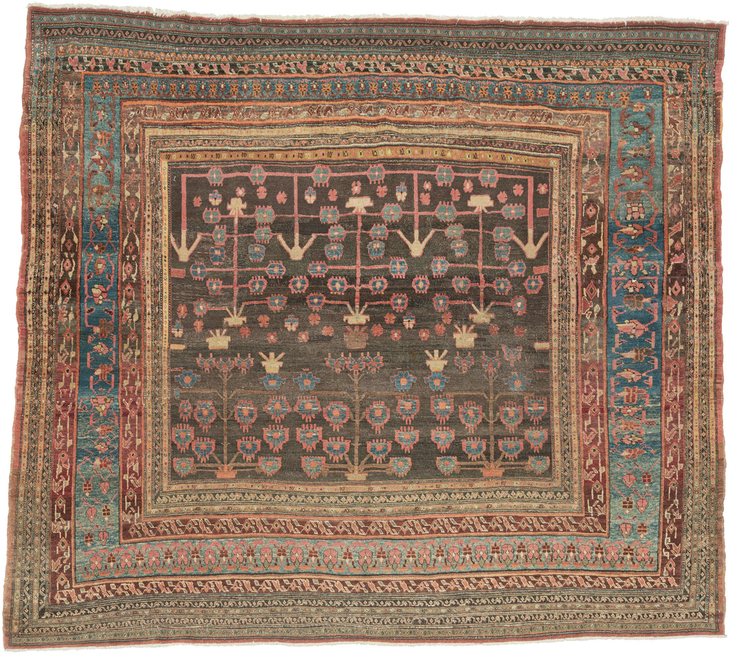 This Bakhshaish was handwoven during the 3rd quarter of the 20th century.

It is an exceptional and unusually square-format Bakhshaish rug, finely woven and boldly composed. Rather than the typical medallion or open-field layout, this piece features a dynamic tree-of-life design of stylized floral shrubs that rise in symmetrical rows from potted vases. Rendered in lively tones of rose, sky blue, saffron, and pistachio against a deeply oxidized walnut-brown ground.

The drawing is lyrical and expressive, wit