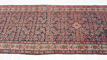 Malayer Runner - 3'4 x 11'