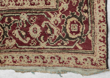 North Indian Agra Rug - 3'5 x 6'1