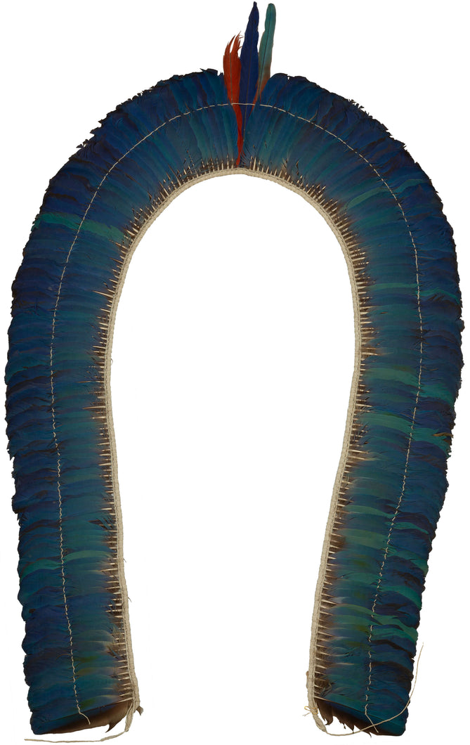 kayapo amazon rainforest macaw feather headdress 