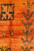 Dutch Orange Boujad Rug - 7'4 x 11'