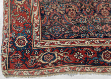 Antique Bidjar Rug - 6' x 11'