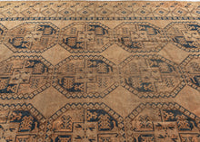 Ersari Turkmen Rug - 8'6 x 12'