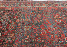 Shekarlu Qashqa'i Rug - 5 x 7'9