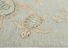 Vintage Turtle Rug - 5’6 x 9’