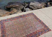 Antique Afshar - 4'11 x 6'4